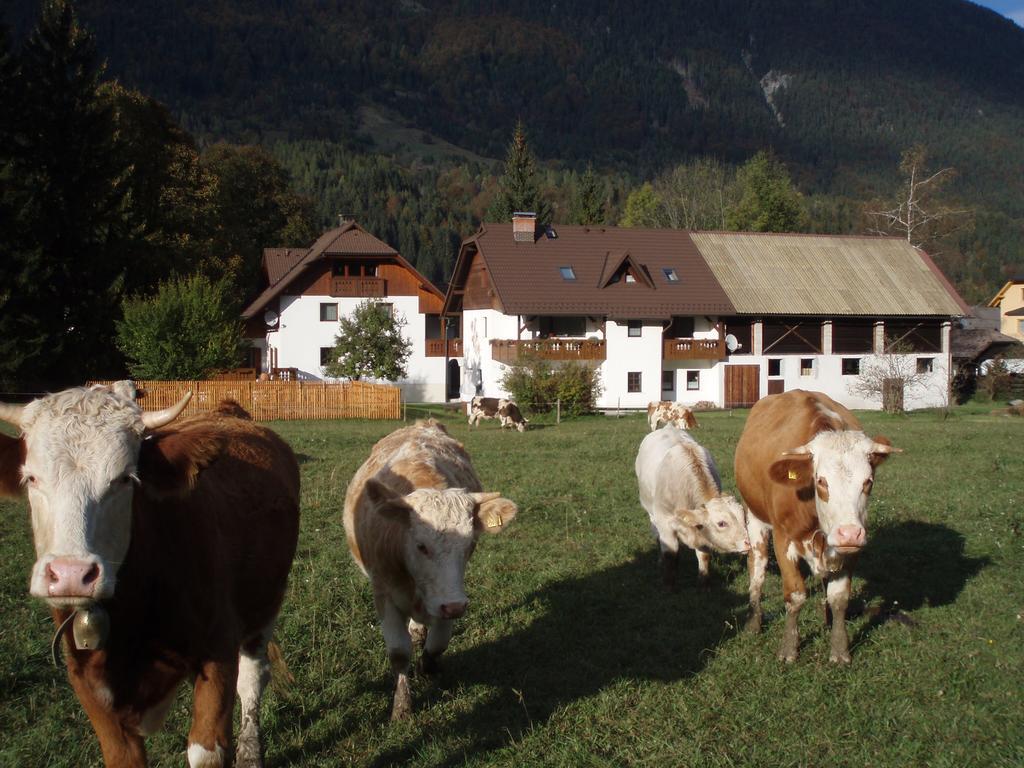 فيلا Farm Kosir كْرانْيِسكا غورا المظهر الخارجي الصورة
